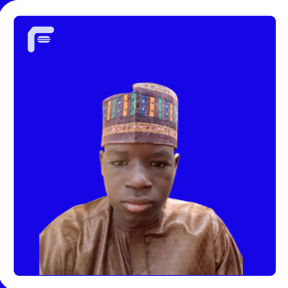 Saidu Ahmed